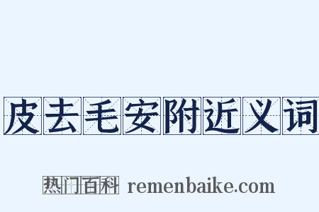 皮去毛安附近义词是什么意思的图片